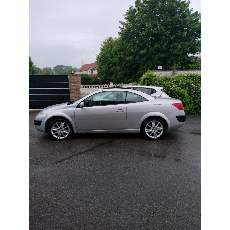 Porte avant gauche RENAULT MEGANE 2 Photo n°13