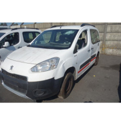 Custode arriere gauche PEUGEOT PARTNER 2