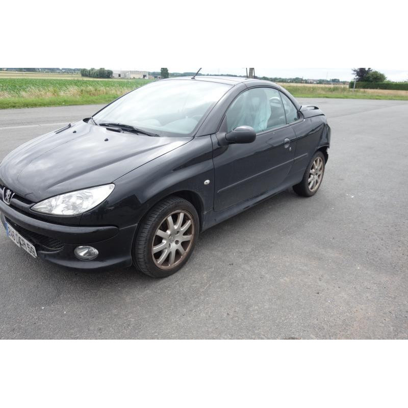 Cremaillere assistee PEUGEOT 206 Photo n°4
