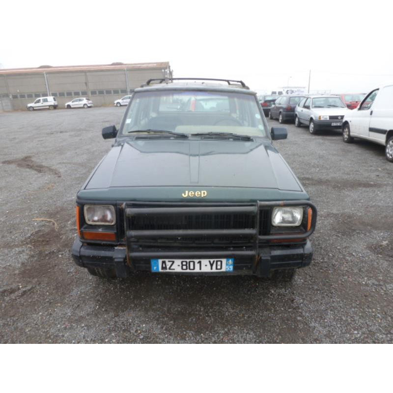 Custode arriere gauche (porte) JEEP CHEROKEE Photo n°1
