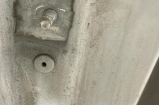 Porte arriere droit RENAULT MEGANE 3