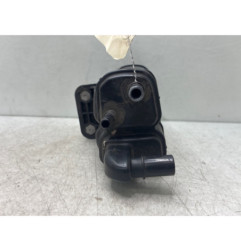Canister RENAULT CLIO 4