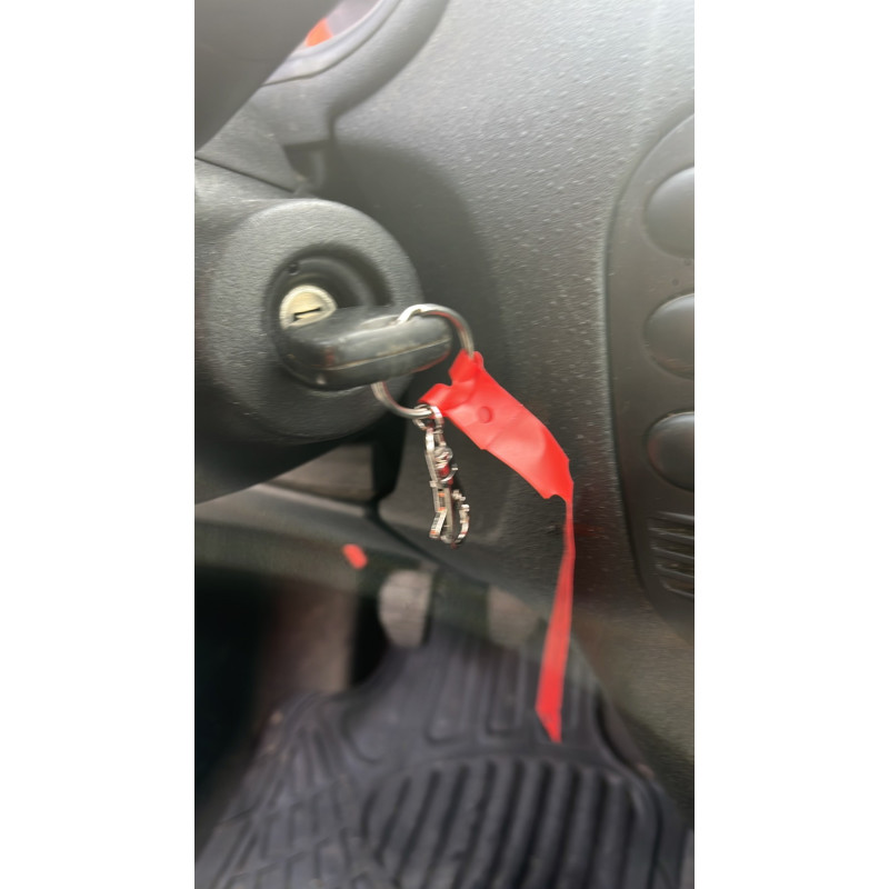 Retroviseur droit CITROEN C2 Photo n°15