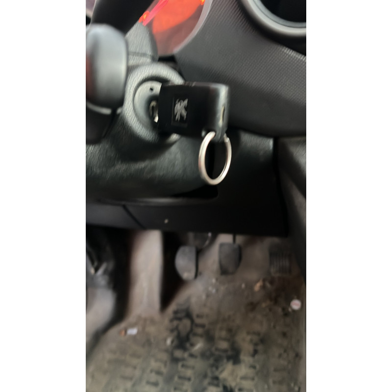 Cremaillere assistee PEUGEOT PARTNER 2 Photo n°5