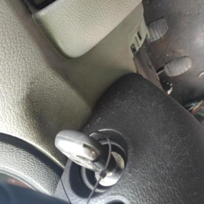 Porte de coffre droit RENAULT KANGOO 1 Photo n°18