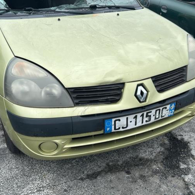 Malle/Hayon arriere RENAULT CLIO 2 Photo n°15