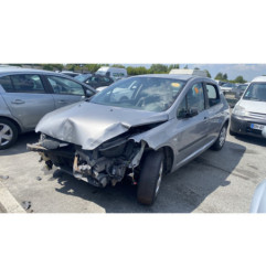 Neiman PEUGEOT 307