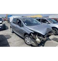 Neiman PEUGEOT 307