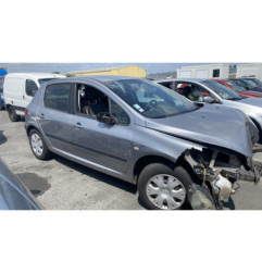 Neiman PEUGEOT 307