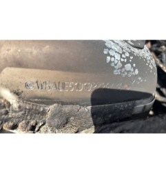 Bouton de coffre BMW SERIE 1 E87