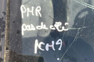 Poignee porte arriere gauche PEUGEOT 206