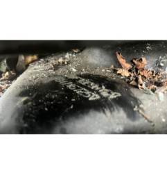 Serrure avant gauche PEUGEOT 307