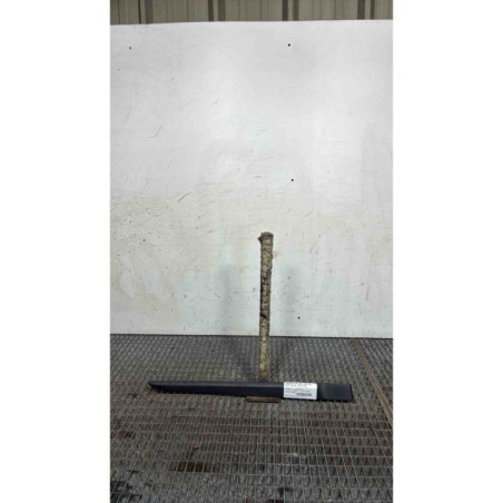 Baguette de porte arriere droite RENAULT CLIO 3 Photo n°1