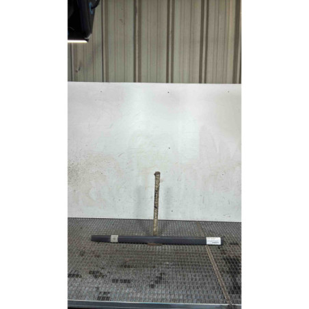 Baguette de porte avant gauche RENAULT CLIO 3 Photo n°1