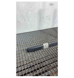 Baguette de porte avant gauche RENAULT CLIO 3