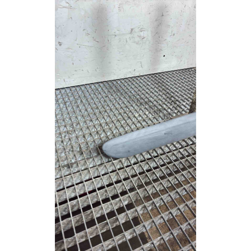 Baguette de porte arriere droite RENAULT CLIO 2 Photo n°3