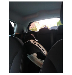 Cremaillere assistee PEUGEOT 208 1