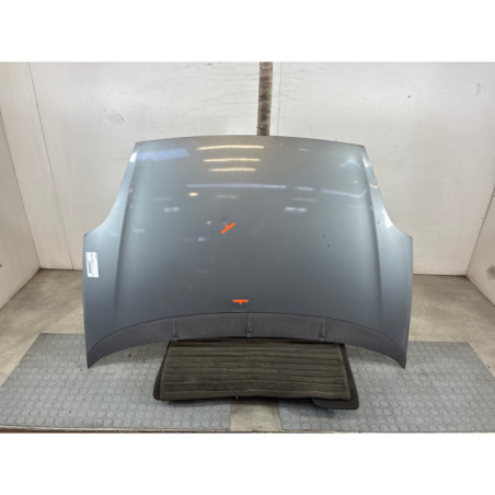 Capot FIAT GRANDE PUNTO Photo n°1