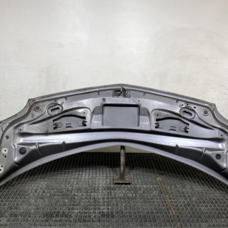 Capot RENAULT GRAND MODUS Photo n°9