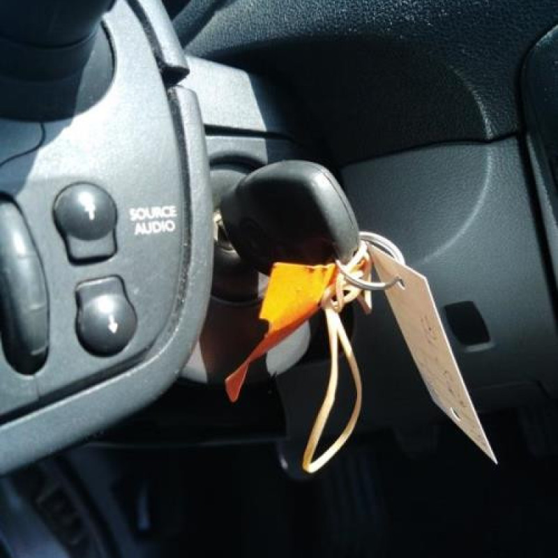 Retroviseur gauche RENAULT CLIO 3 Photo n°15