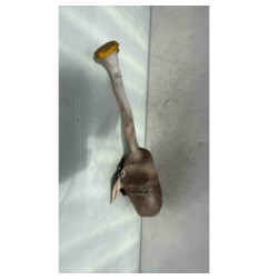 Vase de lave glace RENAULT TWINGO 2 Photo n°1