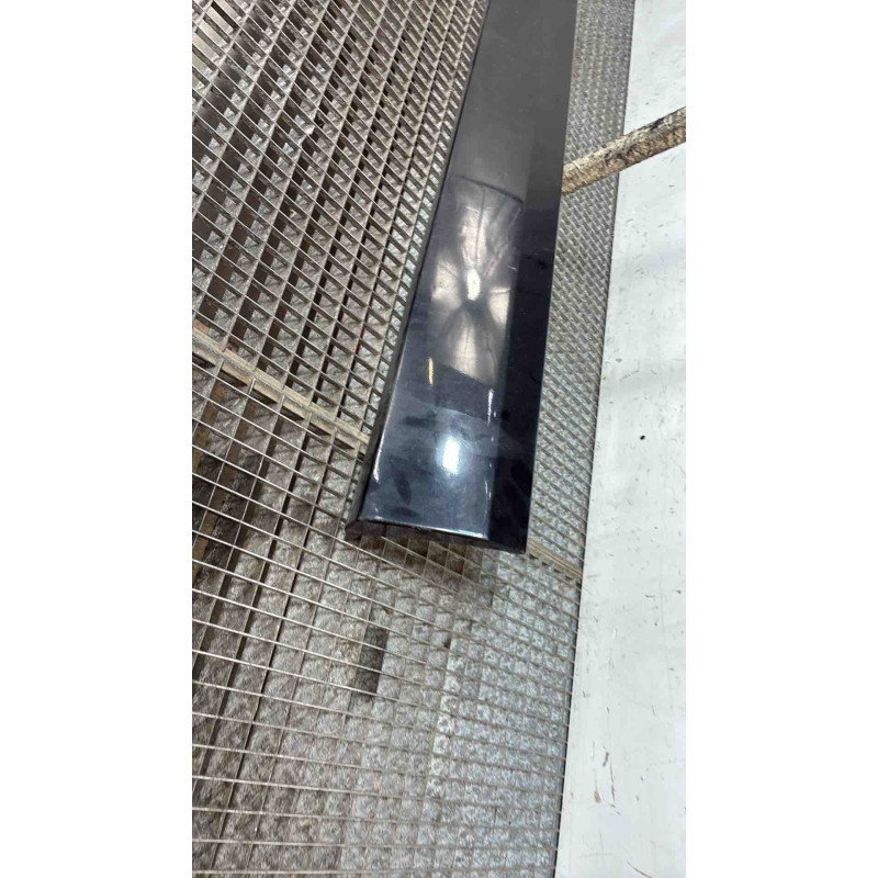 Baguette de porte avant gauche RENAULT SCENIC 3 Photo n°1