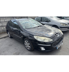 Vase de lave glace PEUGEOT 407