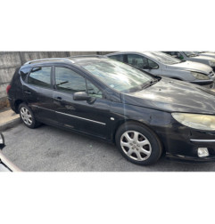 Vase de lave glace PEUGEOT 407