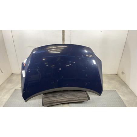 Capot VOLKSWAGEN GOLF PLUS Photo n°1