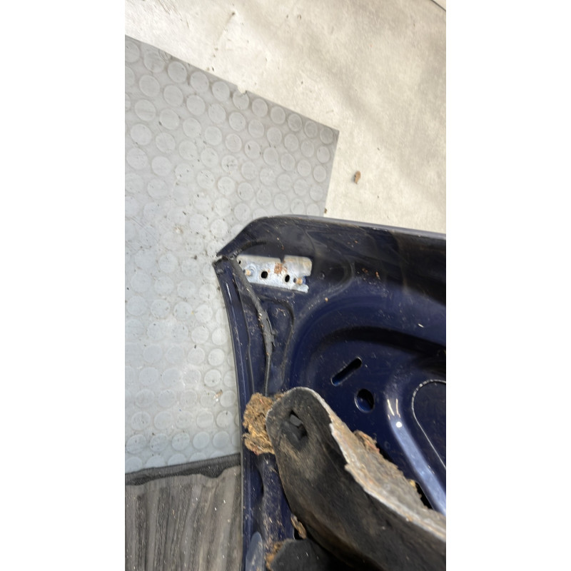 Capot VOLKSWAGEN GOLF PLUS Photo n°9
