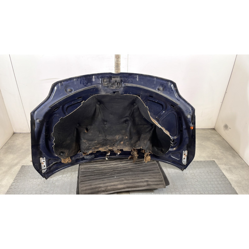 Capot VOLKSWAGEN GOLF PLUS Photo n°11