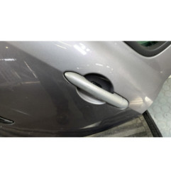 Porte arriere gauche RENAULT CLIO 3