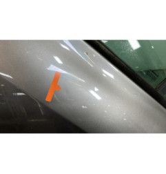 Porte arriere gauche RENAULT CLIO 3