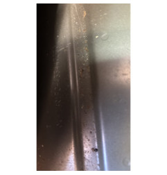 Porte arriere gauche RENAULT CLIO 3