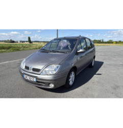 Porte arriere gauche RENAULT SCENIC 1