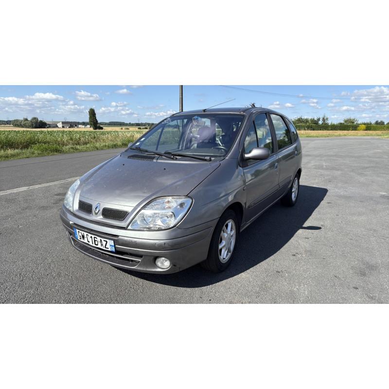 Porte arriere gauche RENAULT SCENIC 1 Photo n°8