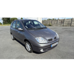 Porte arriere gauche RENAULT SCENIC 1