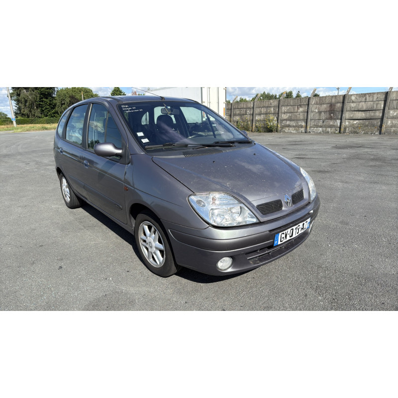 Porte arriere gauche RENAULT SCENIC 1 Photo n°9