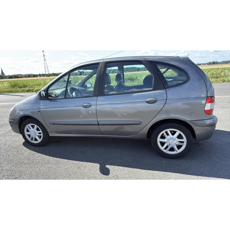 Porte arriere gauche RENAULT SCENIC 1 Photo n°13