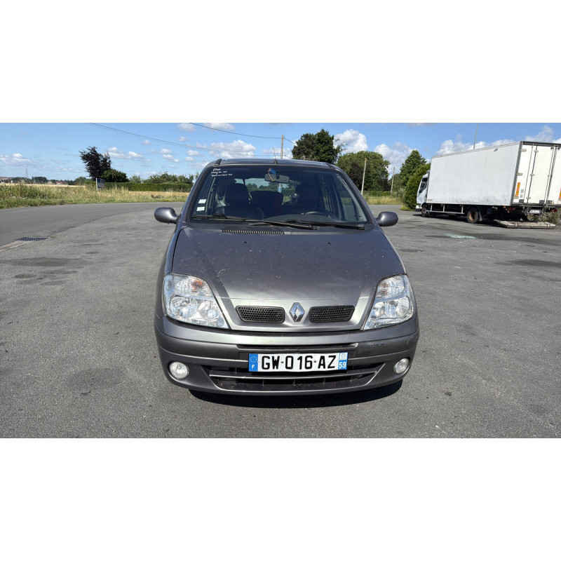 Porte arriere gauche RENAULT SCENIC 1 Photo n°15
