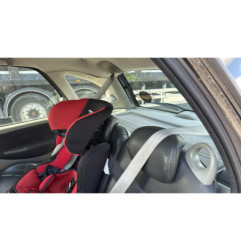 Porte arriere gauche RENAULT SCENIC 1
