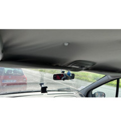 Porte arriere gauche RENAULT SCENIC 1