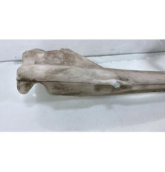 Vase de lave glace RENAULT MEGANE 1