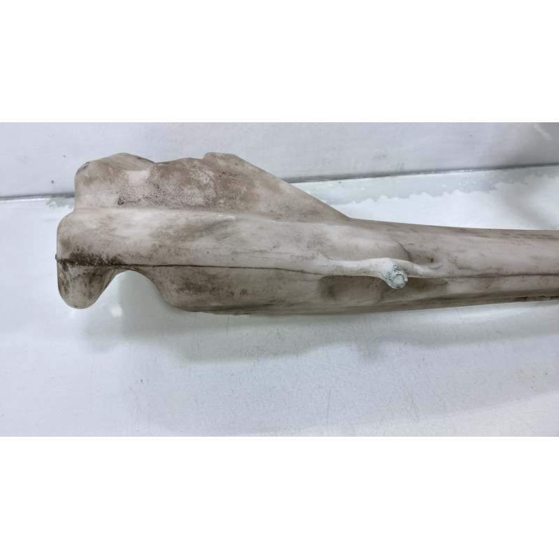 Vase de lave glace RENAULT MEGANE 1 Photo n°4