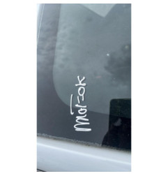 Retroviseur gauche RENAULT CLIO 4
