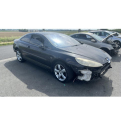 Baguette de porte avant gauche PEUGEOT 407