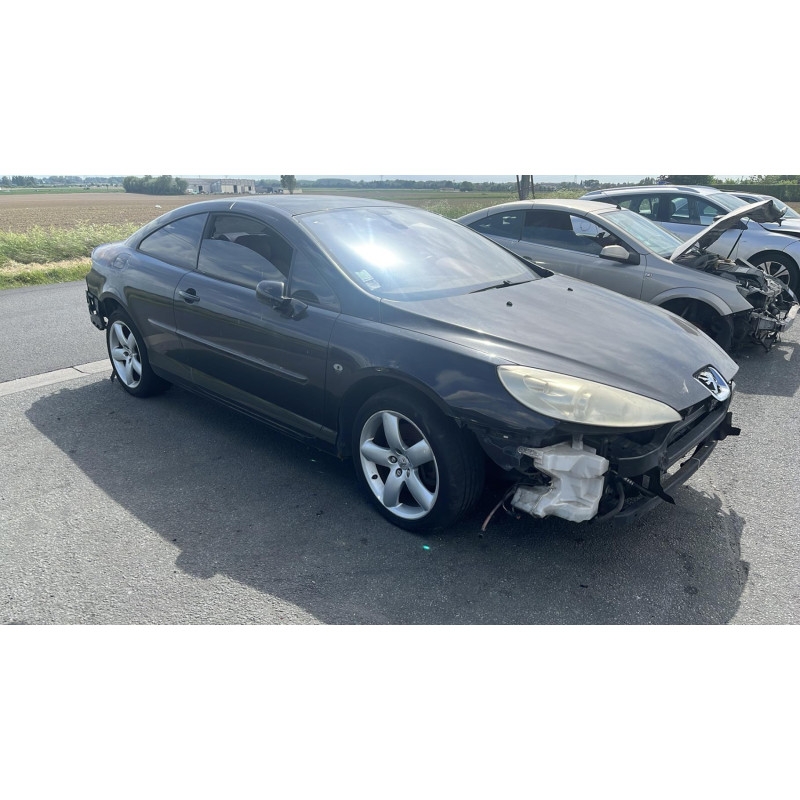 Baguette de porte avant gauche PEUGEOT 407 Photo n°5