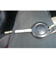 Porte arriere gauche SMART FORFOUR 1