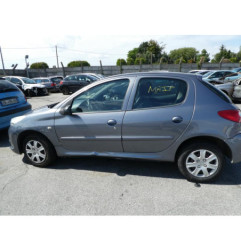 Poignee porte arriere gauche PEUGEOT 206+