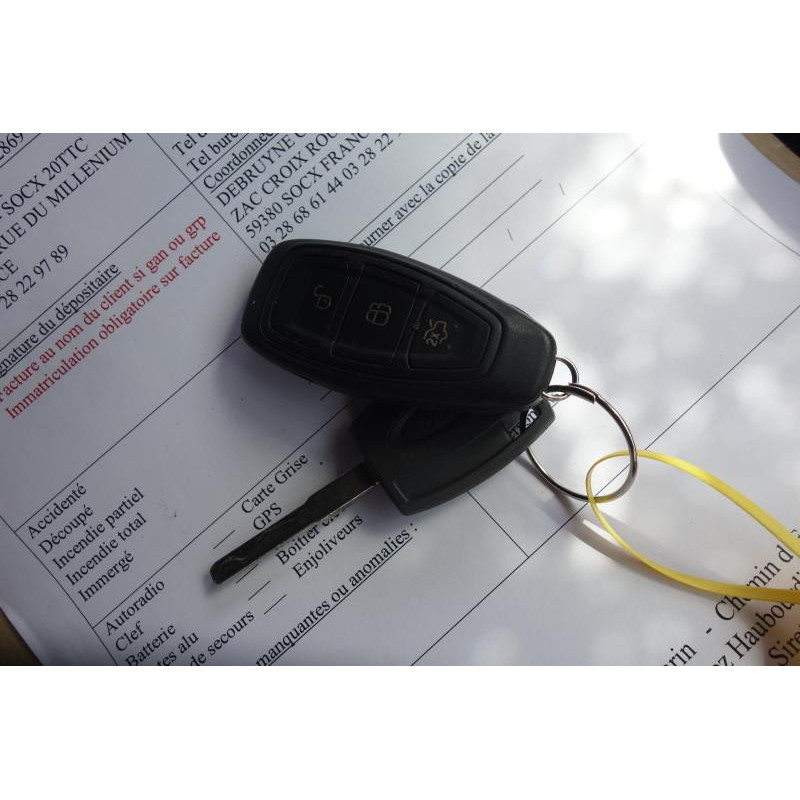 Poignee interieur arriere gauche FORD KUGA 1 Photo n°12